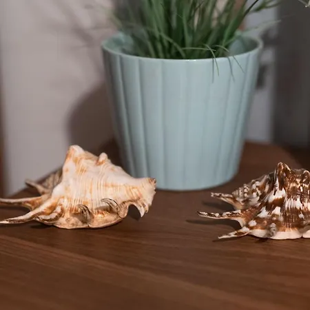Prázdninový dům Dom Na Mazurach Nad Jeziorem Bialym Zakatek Zacisze *